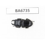 Dorcus sp. Myanmar, Kechin, Nanse. 1M. BA6735.
