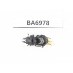 Dorcus sp. China, Yunnan, Dali, Jianchuan. 1M. BA6978.