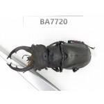 Lucanus fryi. China, Tibet, Linzhi, Motuo county. 1M. BA7720.