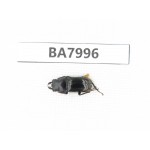 Dorcus sp. Myanmar, Kechin, Nanse. 1M. BA7996.
