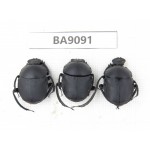 Geotrupidae sp. China, Guizhou, Tongren, Mt.Fanjingshan. 3Pcs. BA9091.