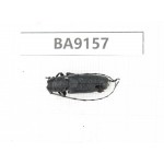 Cerambycidae sp. China, Guizhou, Bijie, Jinsha county. 1Pcs. BA9157.