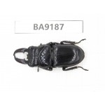Dorcus sp. China, Guizhou, Bijie, Jinsha county. 1M. BA9187.