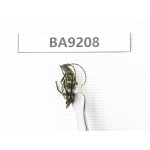 Cerambycidae sp. China, Heilongjiang, Mudanjiang. 1Pcs. BA9208.