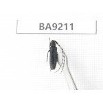 Cerambycidae sp. China, Heilongjiang, Mudanjiang. 1Pcs. BA9211.
