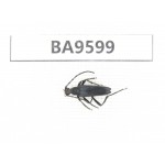 Cerambycidae sp. China, Heilongjiang, Mudanjiang. 1Pcs. BA9599.