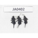 Dermaptera sp. China, Tibet, Linzhi, Bomi county. 3Pcs. JA0402.