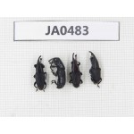 Curculionidae sp. China, Yunnan, Chuxiong, Mt.Ailaoshan. 4Pcs. JA0483.