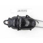 Neolucanus sp. China, Yunnan, Honghe, Jinping county. 1M. JA1515.