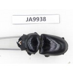 Dorcus sp. China, Tibet, Xigaze, Dingjie county, Chentang valley. 1F. JA9938.